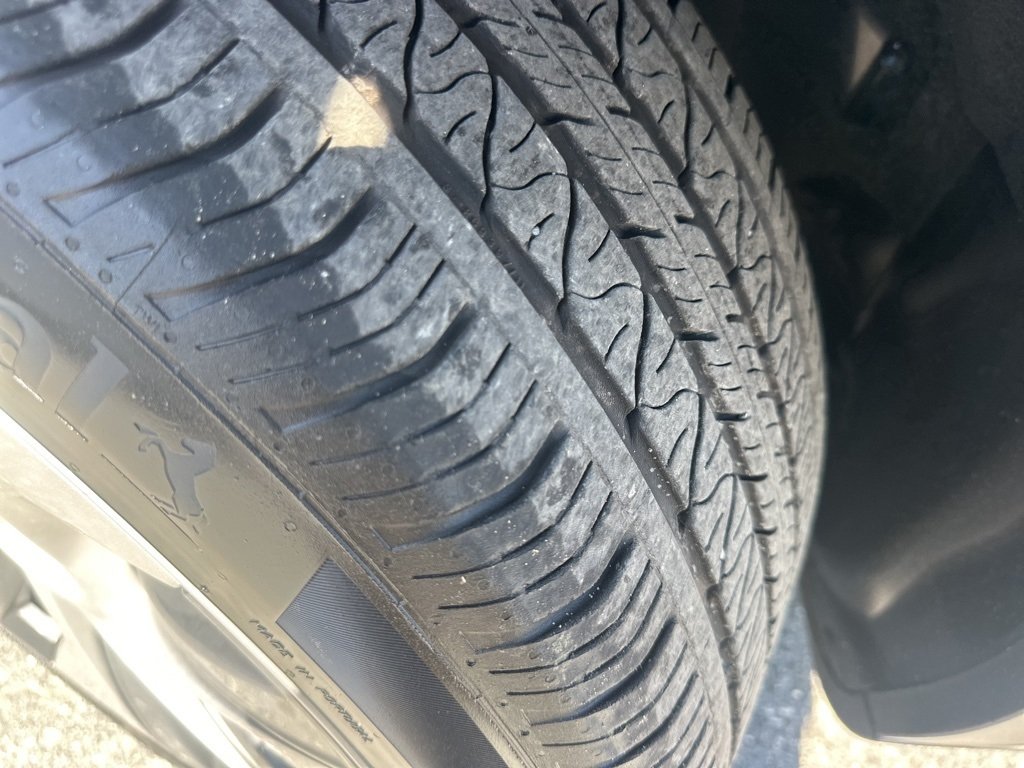 2024 Tesla Model Y Standard Range photo 24