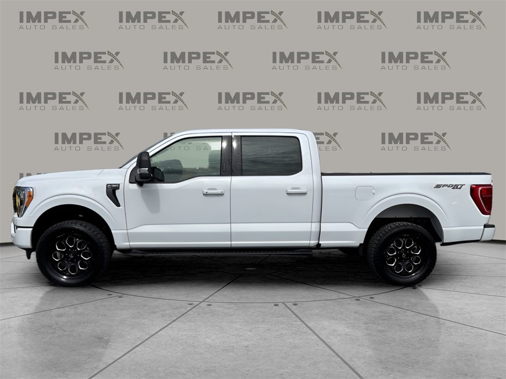2023 Ford F-150 XLT photo 2