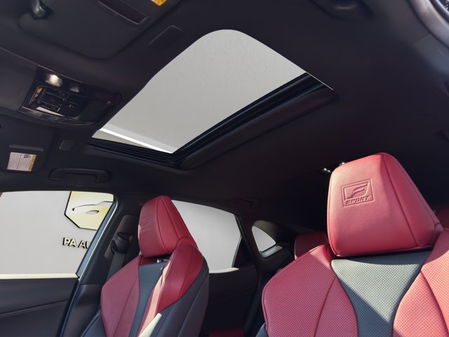 2022 Lexus NX 350 F SPORT Handling photo 25