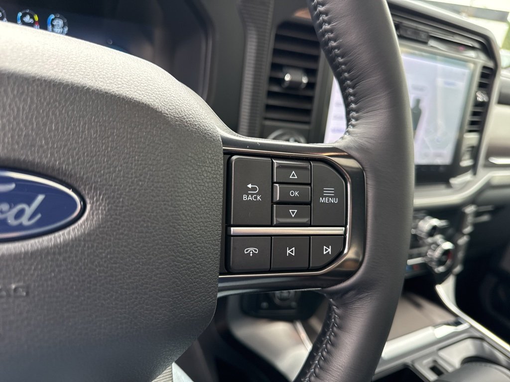 2025 Ford F-150 Platinum photo 17