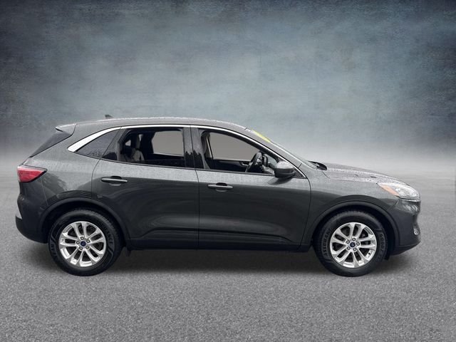 2020 Ford Escape SE photo 3