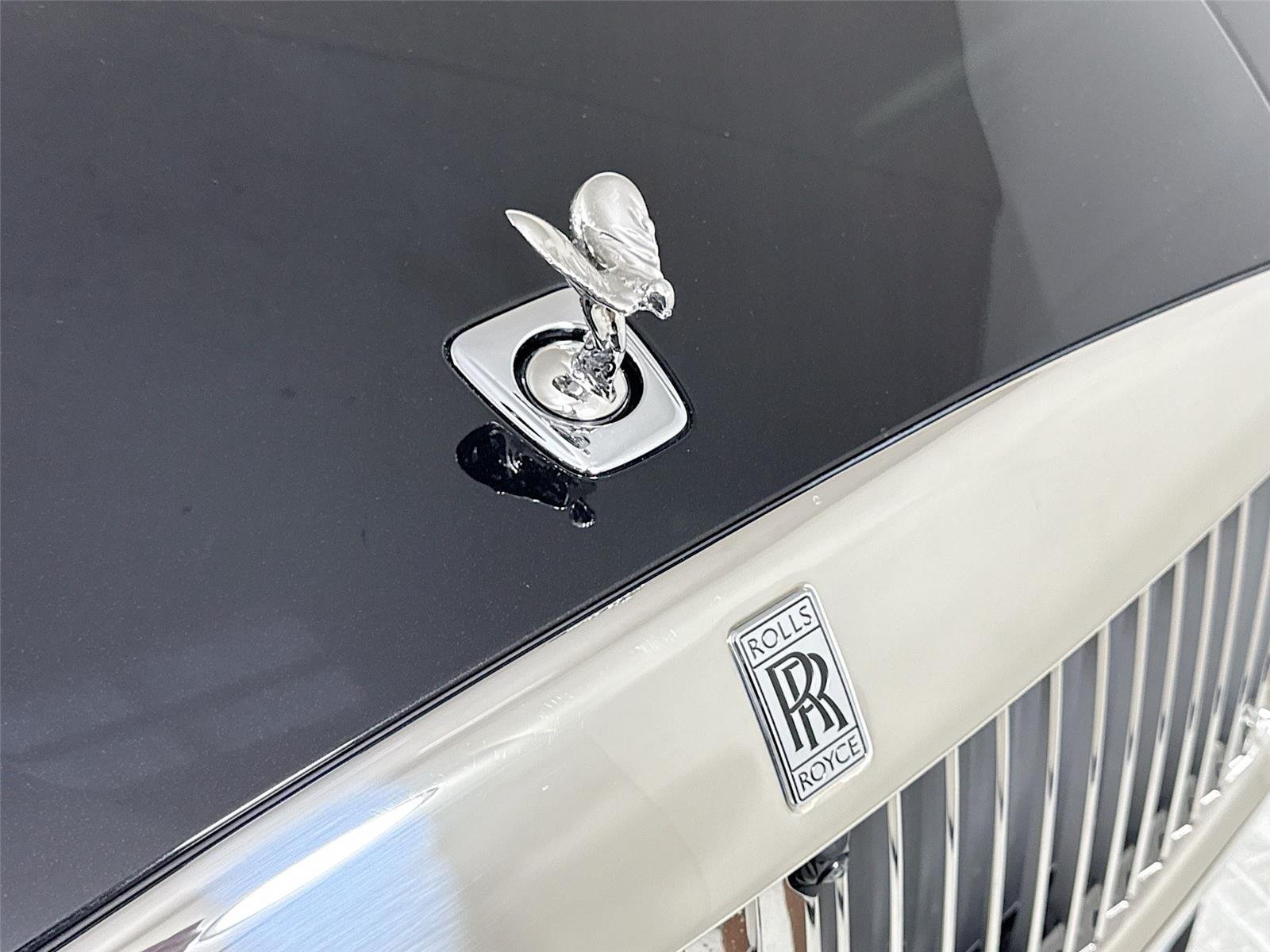 2024 Rolls Royce Spectre photo 30
