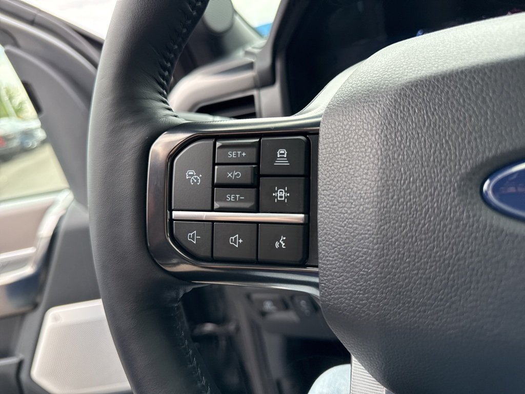 2025 Ford F-150 Platinum photo 16