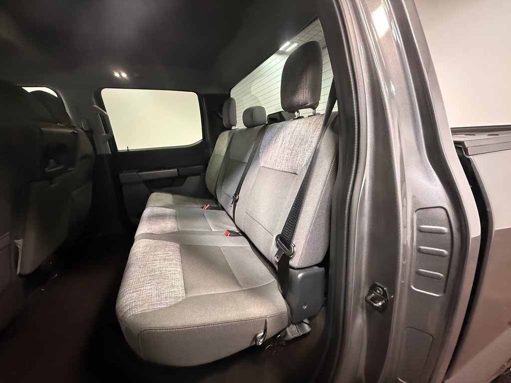 2023 Ford F-150 XLT photo 6