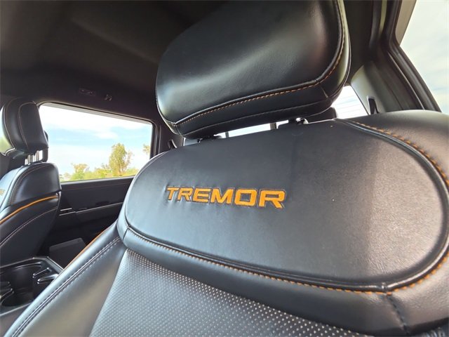 2022 Ford F-150 King Ranch photo 30