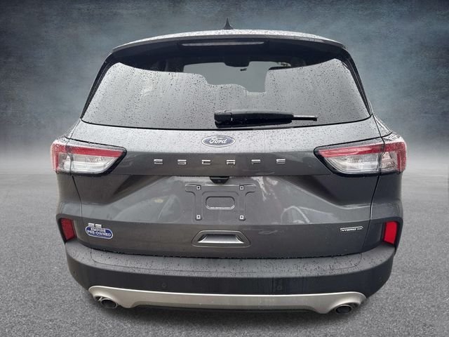 2021 Ford Escape Hybrid SE photo 4