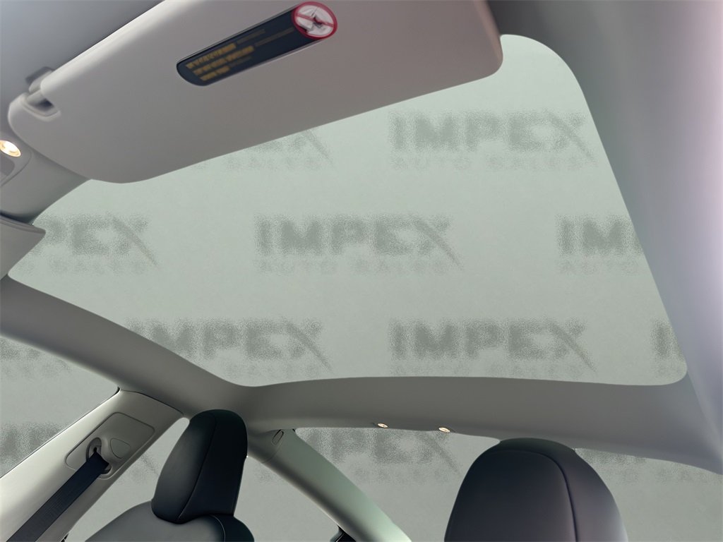 2023 Tesla Model 3 Performance photo 11