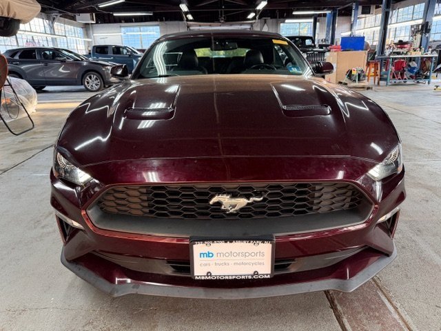 2018 Ford Mustang EcoBoost photo 3
