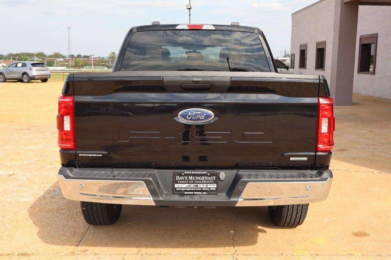 2023 Ford F-150 XLT photo 3
