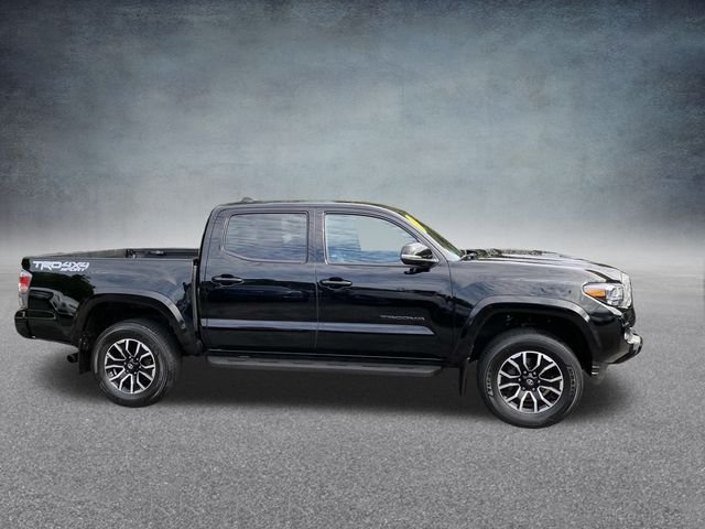 2023 Toyota Tacoma TRD Sport photo 3