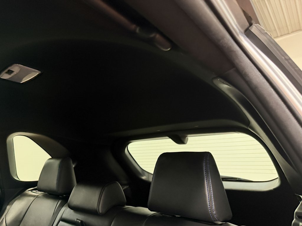 2019 Toyota RAV4 Hybrid XSE photo 5