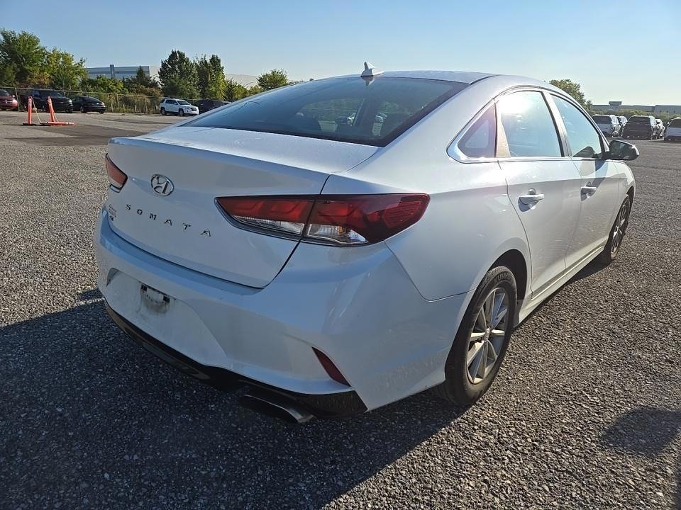 2019 Hyundai Sonata SE photo 4