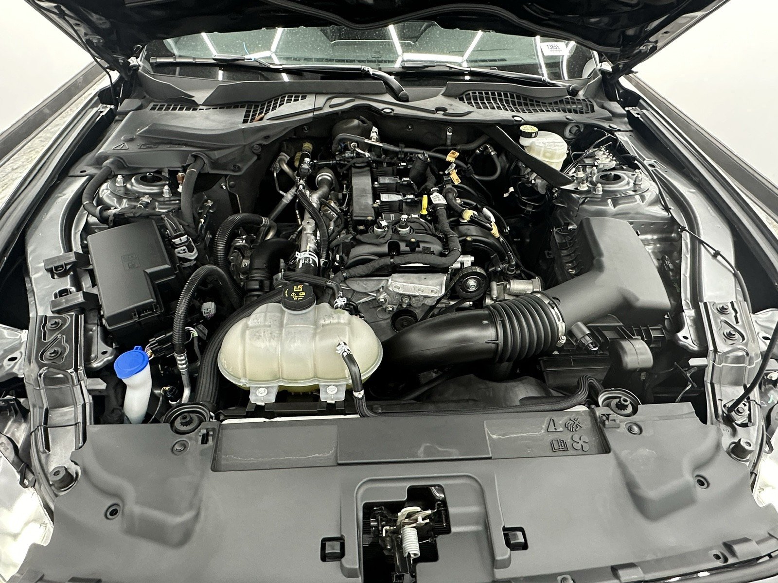2023 Ford Mustang EcoBoost Premium photo 3