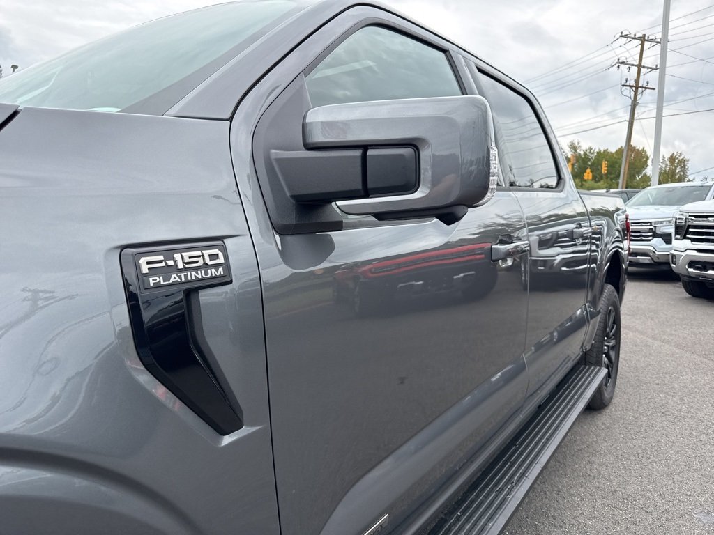2025 Ford F-150 Platinum photo 33