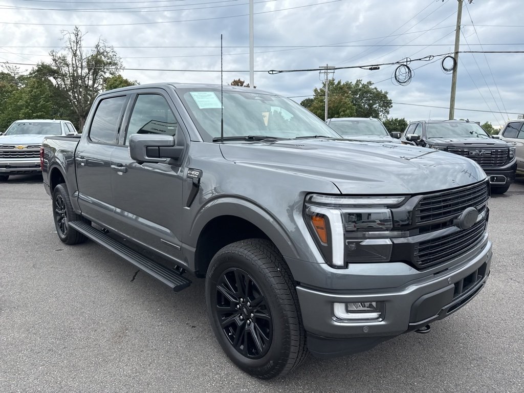 2025 Ford F-150 Platinum photo 7