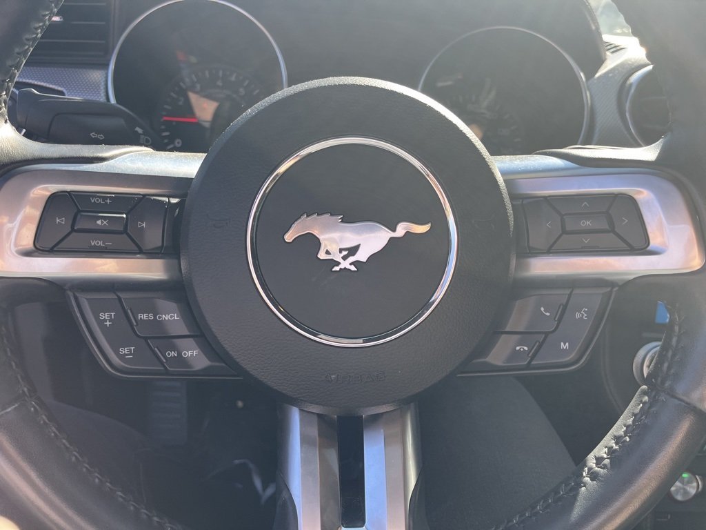 2019 Ford Mustang GT photo 10