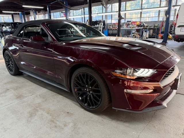 2018 Ford Mustang EcoBoost photo 4
