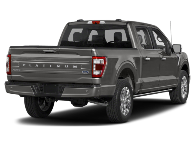 2023 Ford F-150 Platinum photo 2