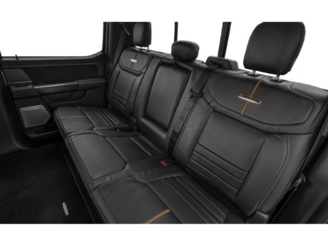 2023 Ford F-150 Platinum photo 9