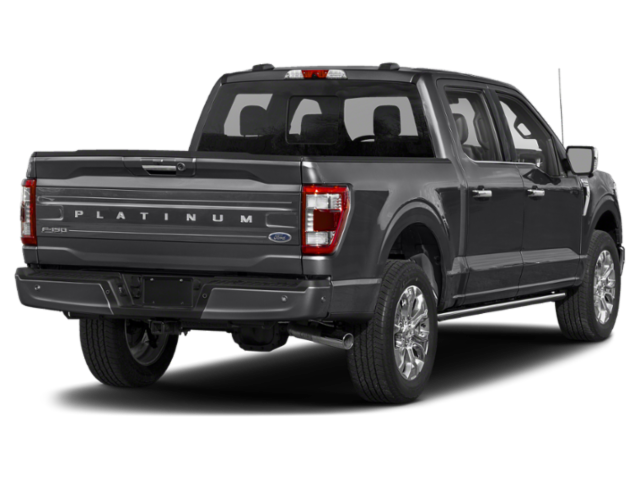 2023 Ford F-150 Platinum photo 2